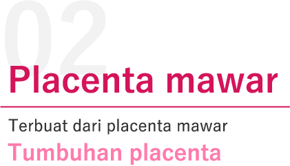 herbal swan white pack memiliki keunggulan bahan alami pilihan yang terbuat dari bubuk mutiara akoya jepang placenta mawar tumbuhan placenta air bunga mawar yang terbuat dari mawar damask